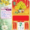 Bìa Lò Xo Giữa Bế Nổi Cây Mai