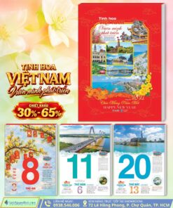 Bloc Đại Tinh Hoa Việt Nam Vươn Mình Phát Triển